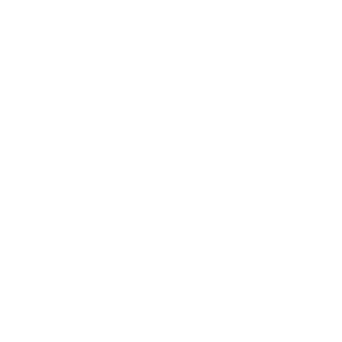 WARRANTY PROTECTION - Falcon Roofing feature