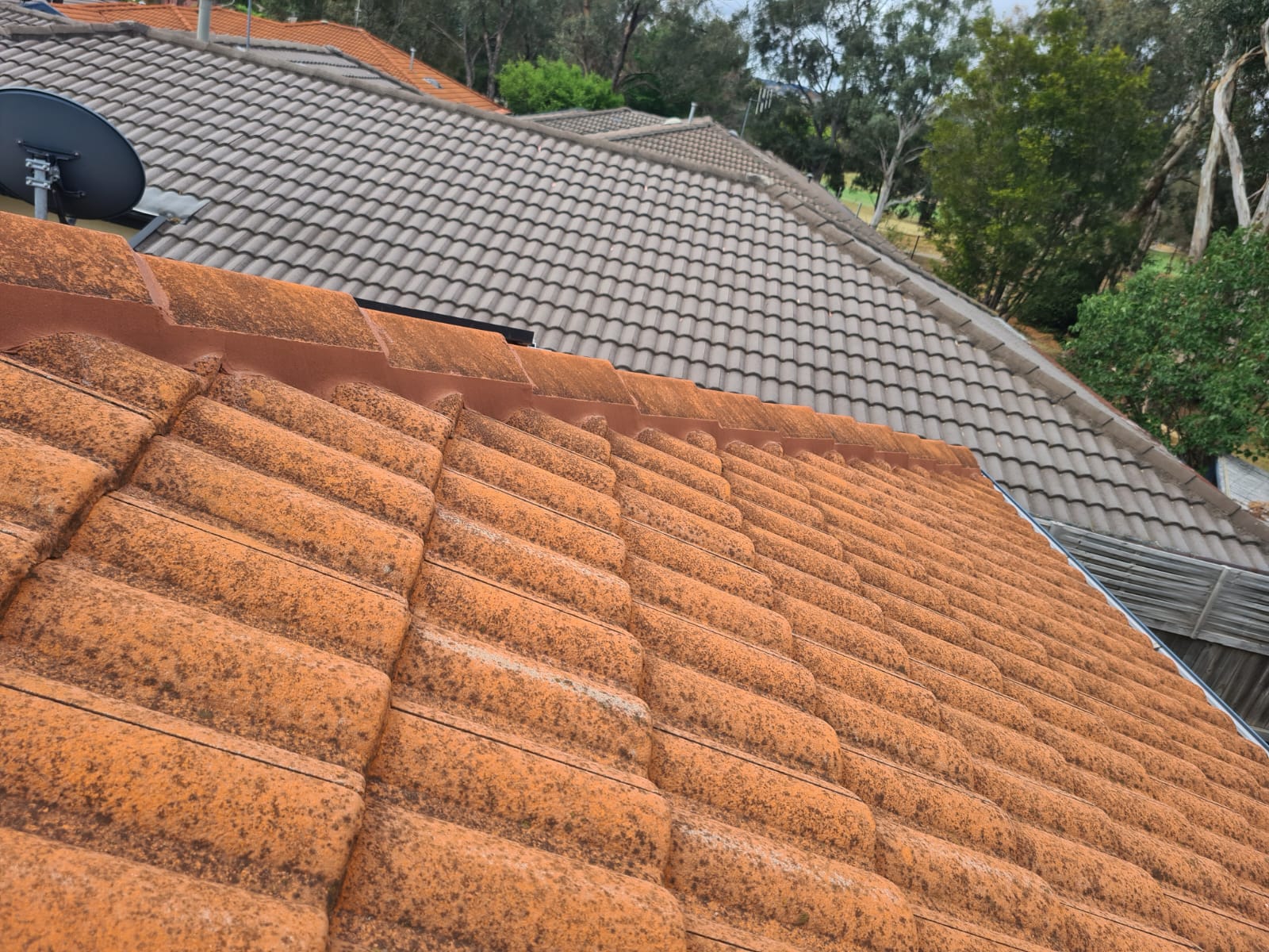 Roof Repair Service