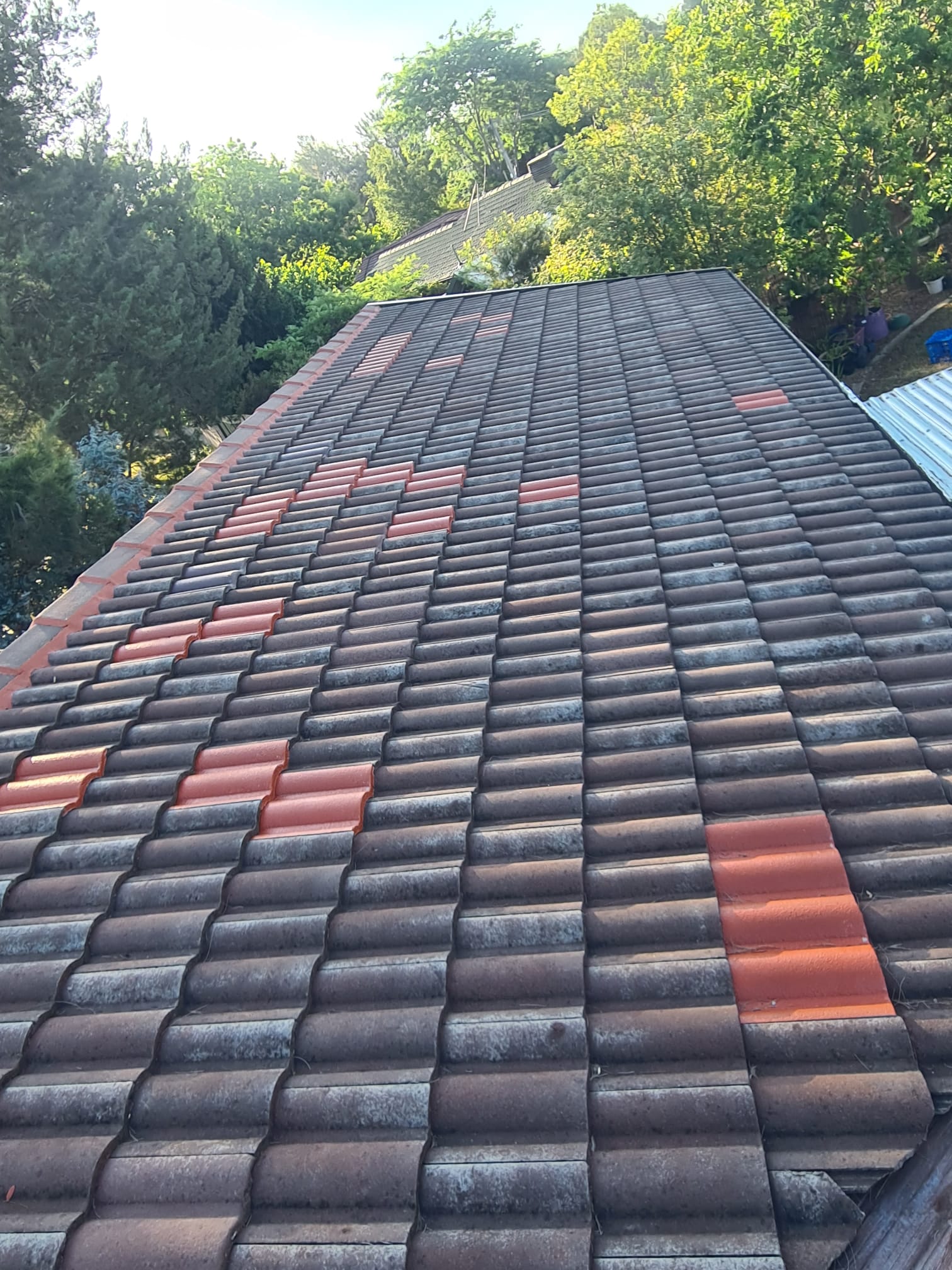 Roof Repair Service